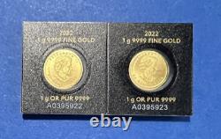 Two 2022 Gold Royal Canadian 1 Gram Maple Leaf Gold Coins 9999 Maplegram Assay