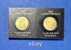 Two 2022 Gold Royal Canadian 1 Gram Maple Leaf Gold Coins 9999 Maplegram Assay